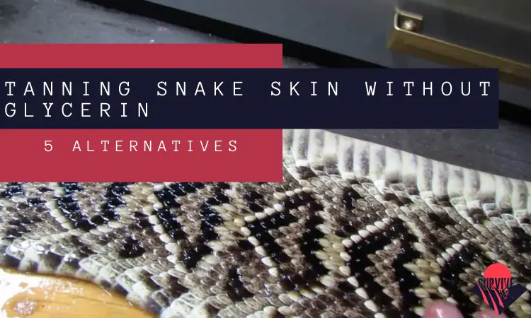 Tanning Snake Skin Without Glycerin