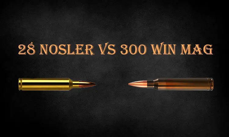 28 Nosler vs 300 Win Mag