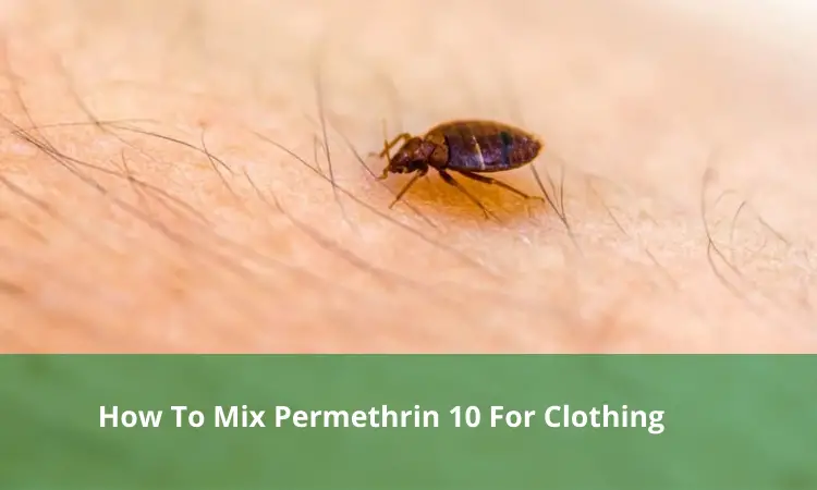 How To Mix Permethrin 10 For Clothing