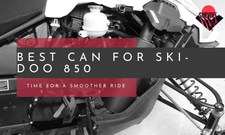 Best Can for Ski-Doo 850
