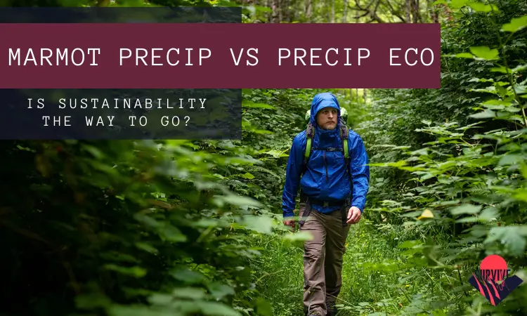 Marmot Precip vs Precip Eco
